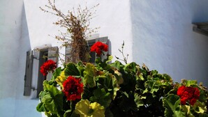 Ein weißes Gebäude mit grauen Fensterläden und roten Blumen im Vordergrund.