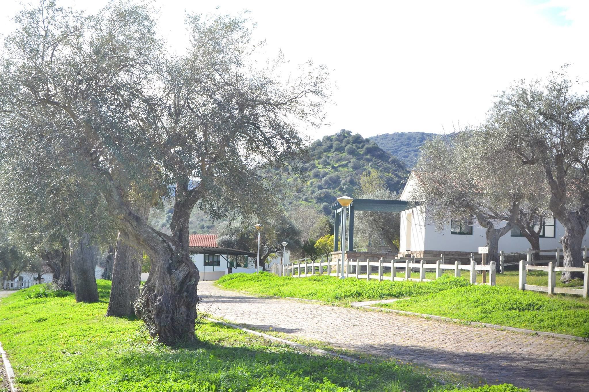 A cobblestone path leading to a white building with a red roof, surrounded by lush green grass and trees.