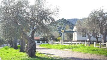A cobblestone path leading to a white building with a red roof, surrounded by lush green grass and trees.
