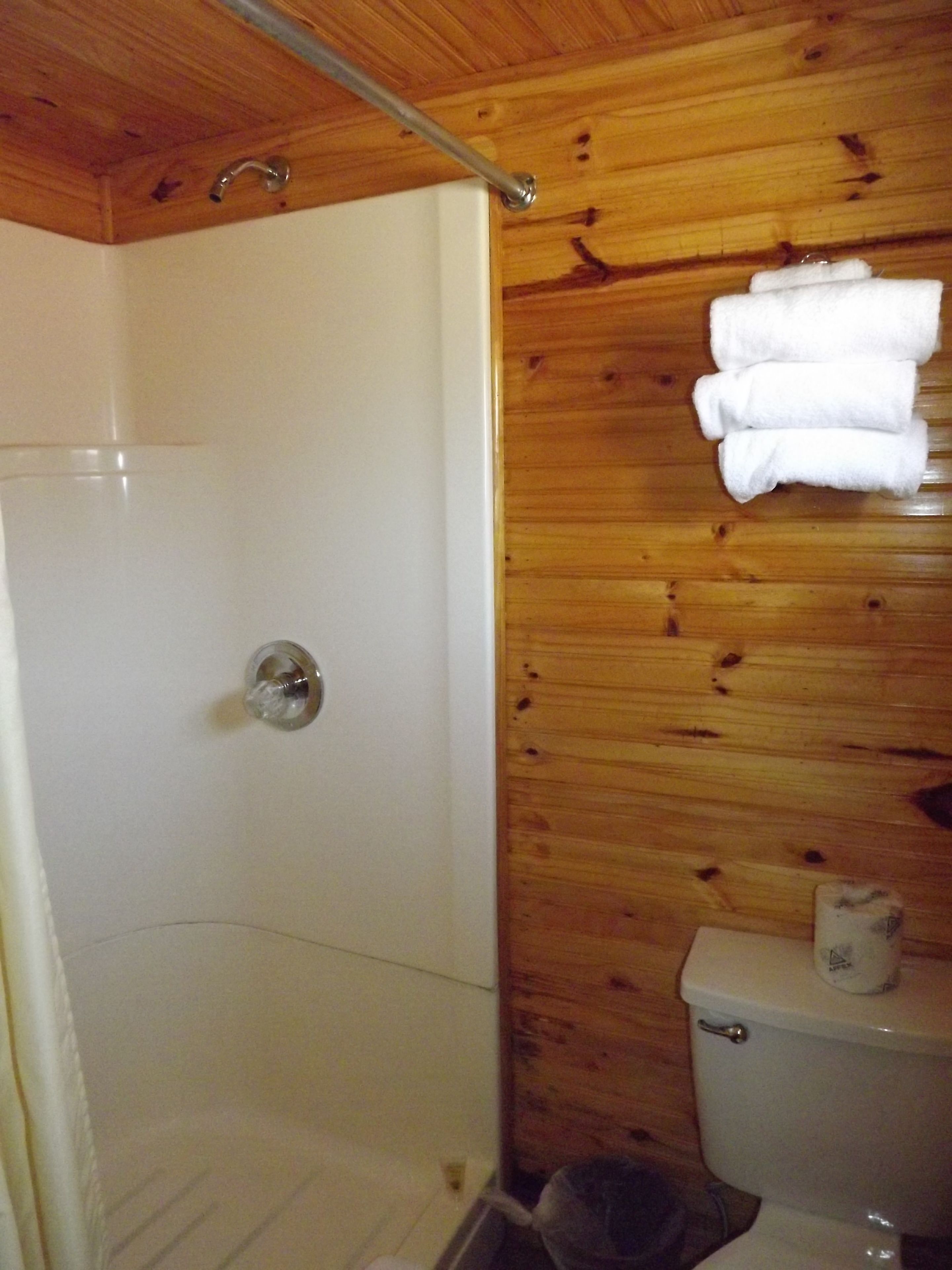 Een badkamer met een houten wand, een douche en een toilet.