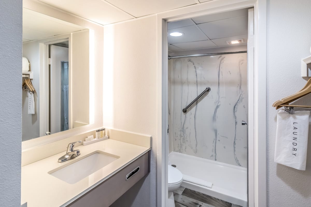 shower, free toiletries, hair dryer, towels