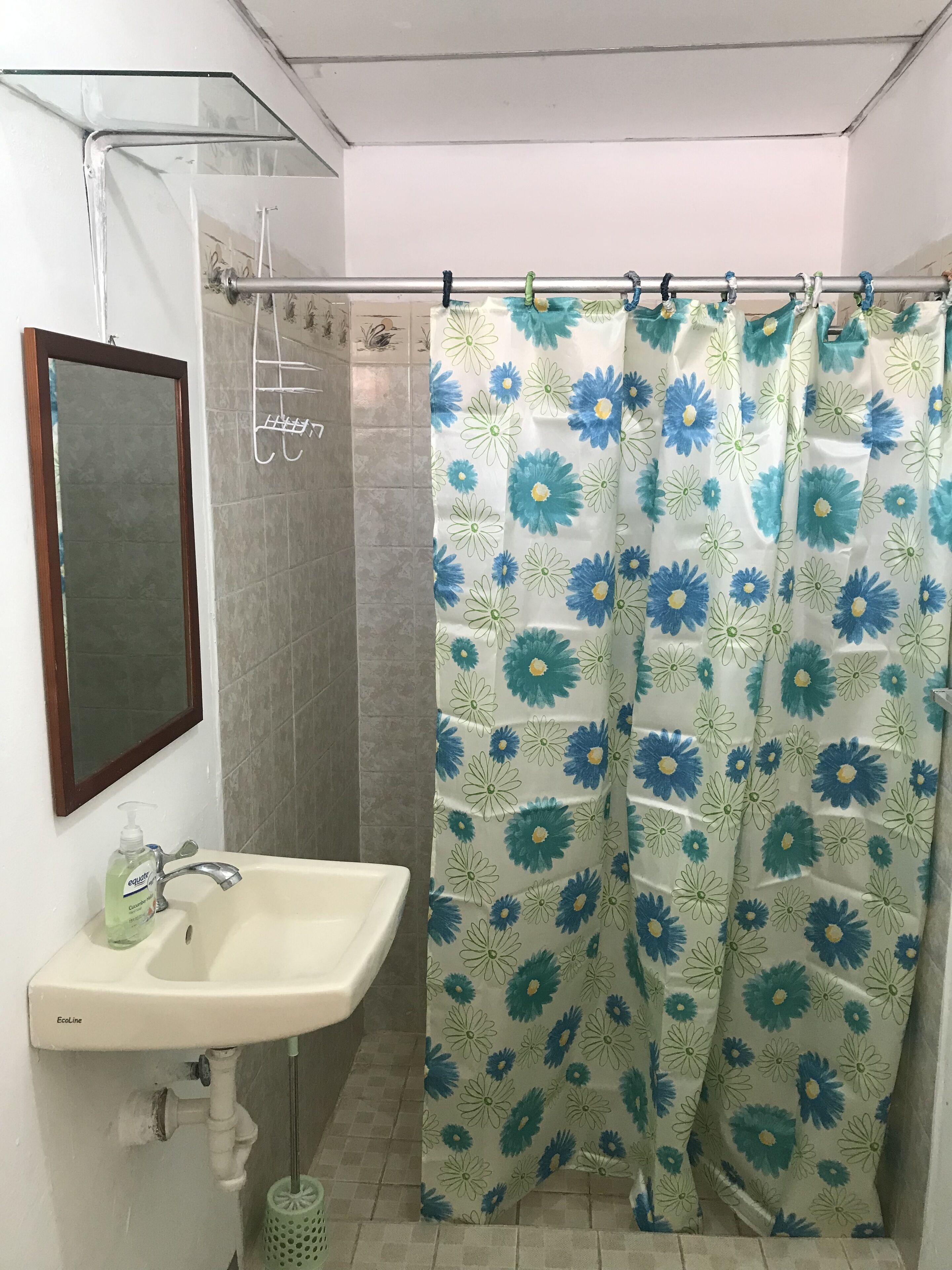 A bathroom with a shower curtain featuring a floral pattern, a sink with a soap dispenser, and a mirror on the wall.