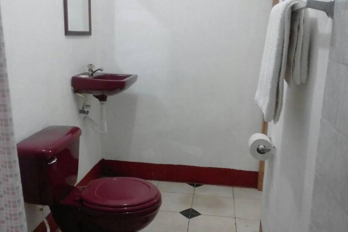 Een badkamer met toilet, wastafel en douche.