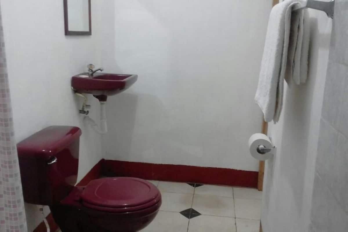 Habitación empresarial, 1 habitación | Baño | Toallas, jabón, papel de baño