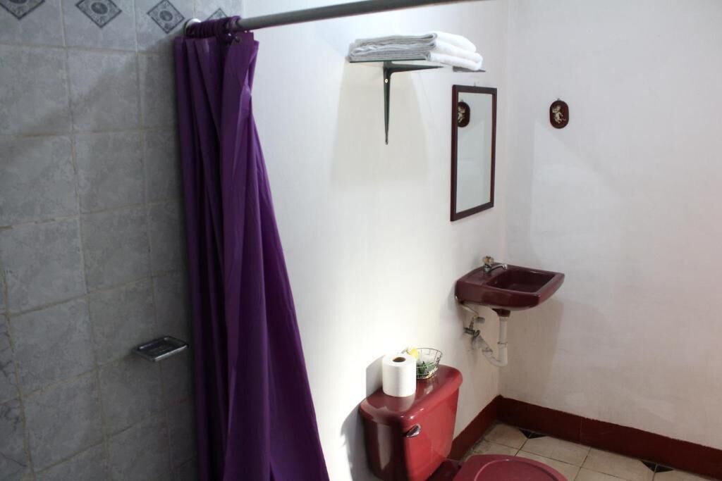 Een badkamer met douchegordijn, toilet, wastafel en spiegel.