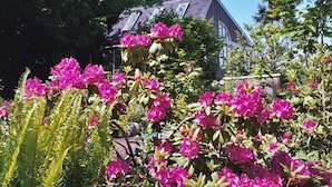 A house surrounded by lush greenery and vibrant pink flowers. - Skiff Point Guest House (Bainbridge Island)