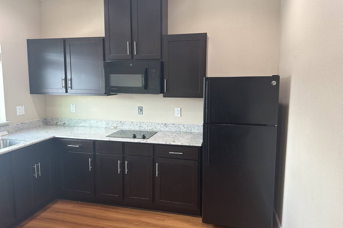 A kitchen with dark cabinets, a black refrigerator, a microwave, and a granite countertop.