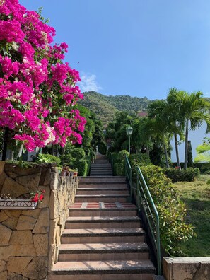 Unclassified image, 3 of 40, button - Balcones Del Cerro (Montecristi)