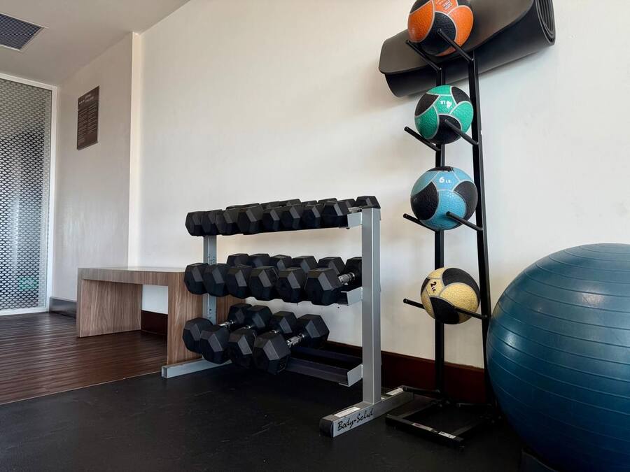 A gym with a rack of dumbbells, a bench, and a wall-mounted ball rack with various sports balls.