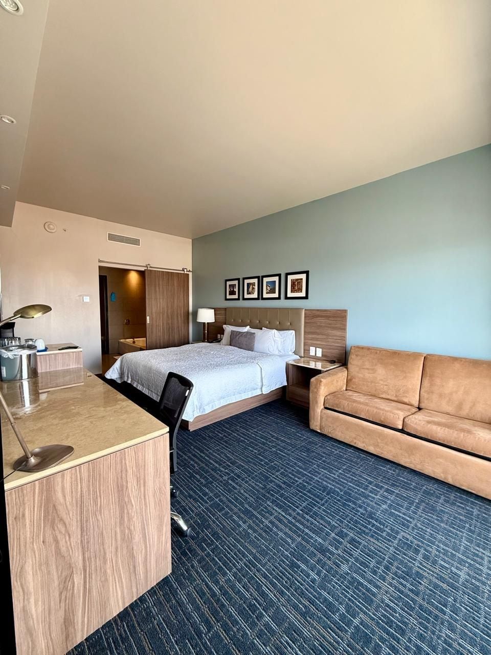 A hotel room with a bed, a desk, a sofa, and a shower area.