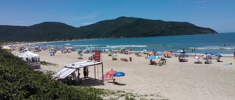 Una spiaggia nelle vicinanze