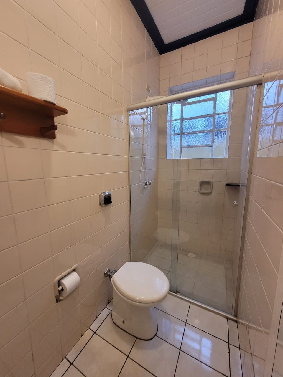 Een badkamer met toilet, een glazen douchecabine, een handdoekrek en een raam.