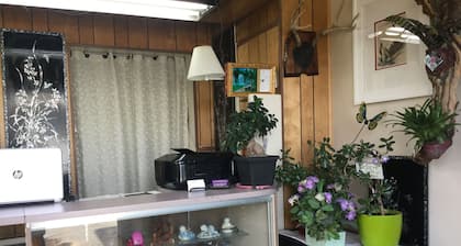 Diamond View Motel