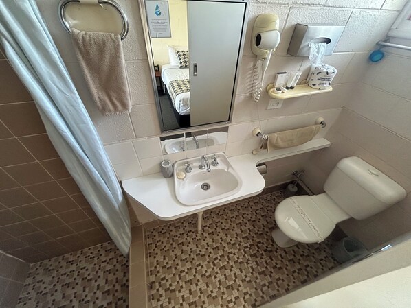 A bathroom with a sink, toilet, and hairdryer.