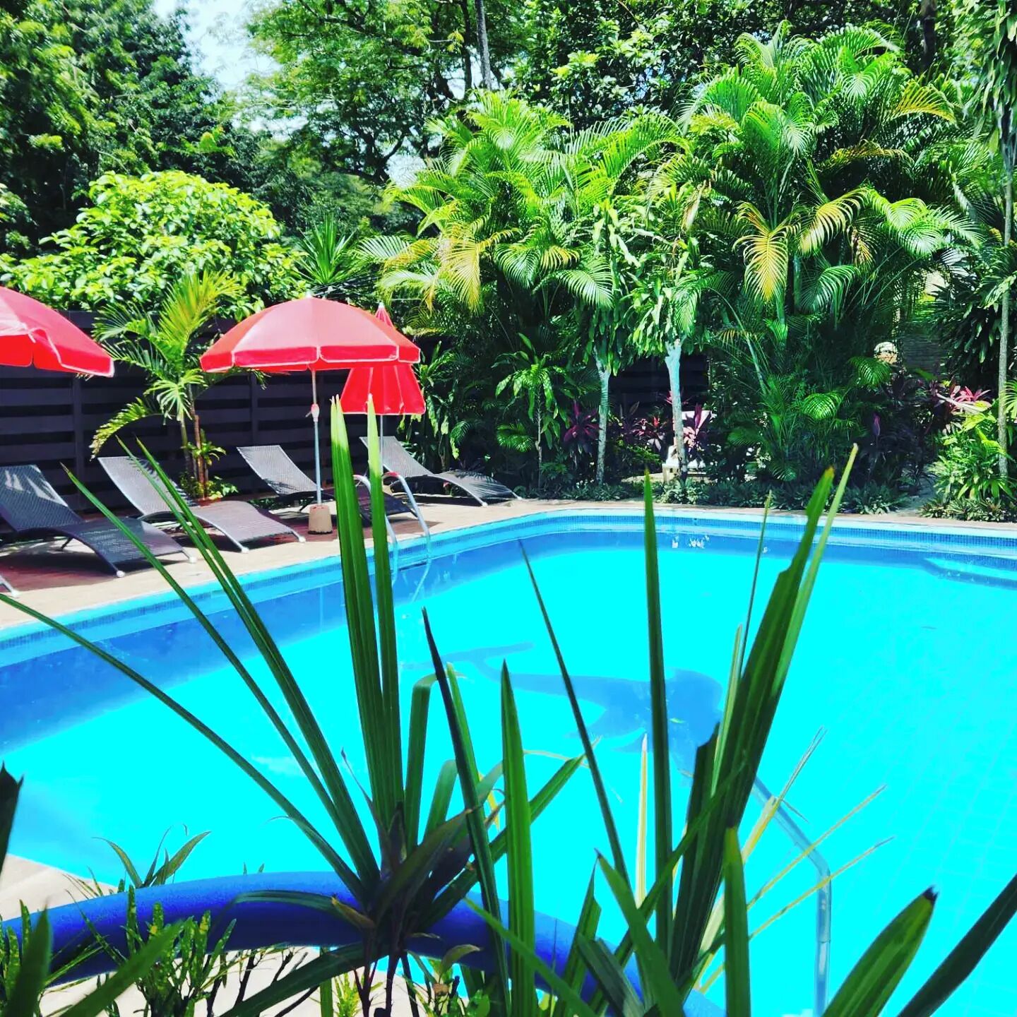 2 outdoor pools, pool loungers