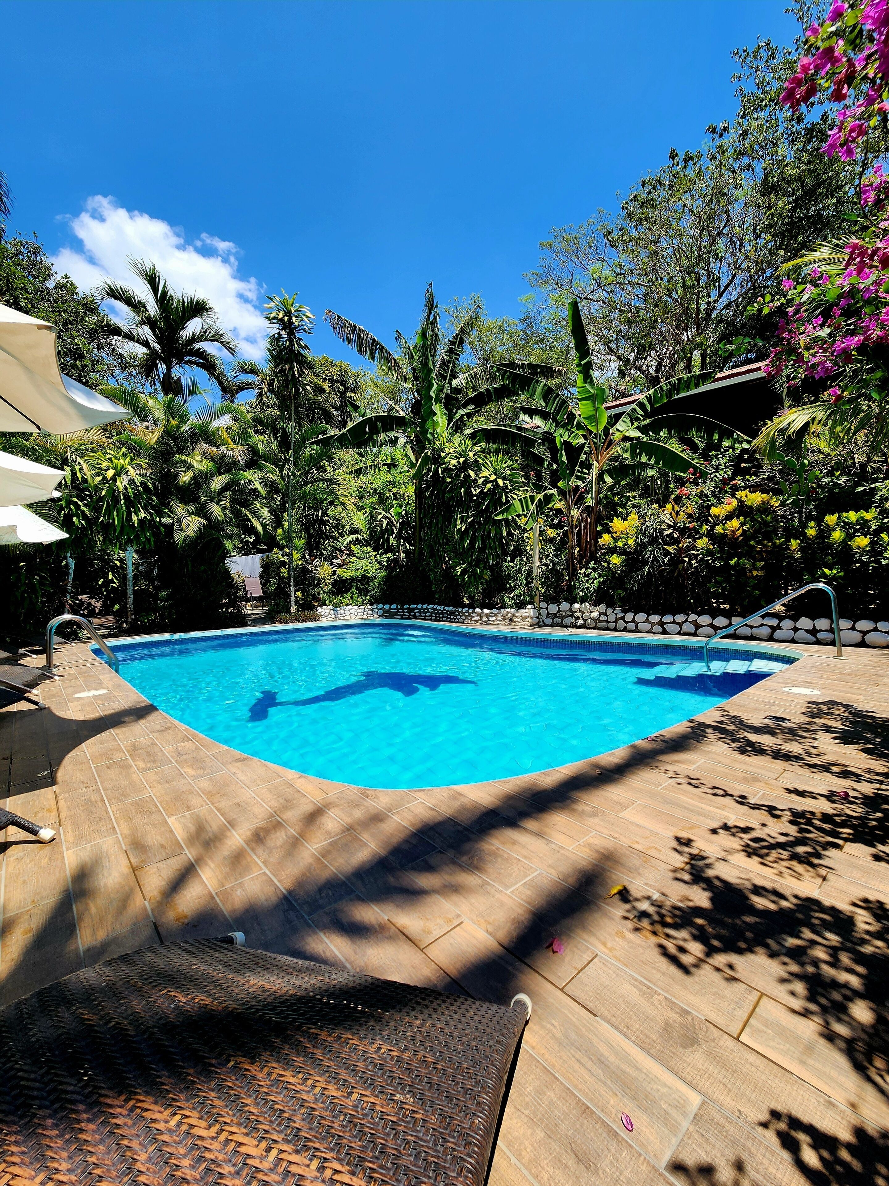 2 outdoor pools, pool loungers