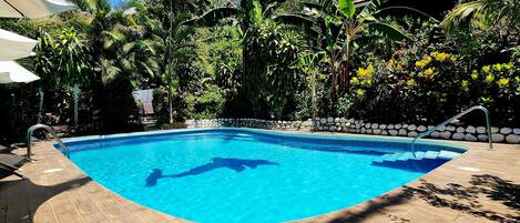 Una piscina con cubierta de baldosas, rodeada de exuberante vegetación y palmeras.