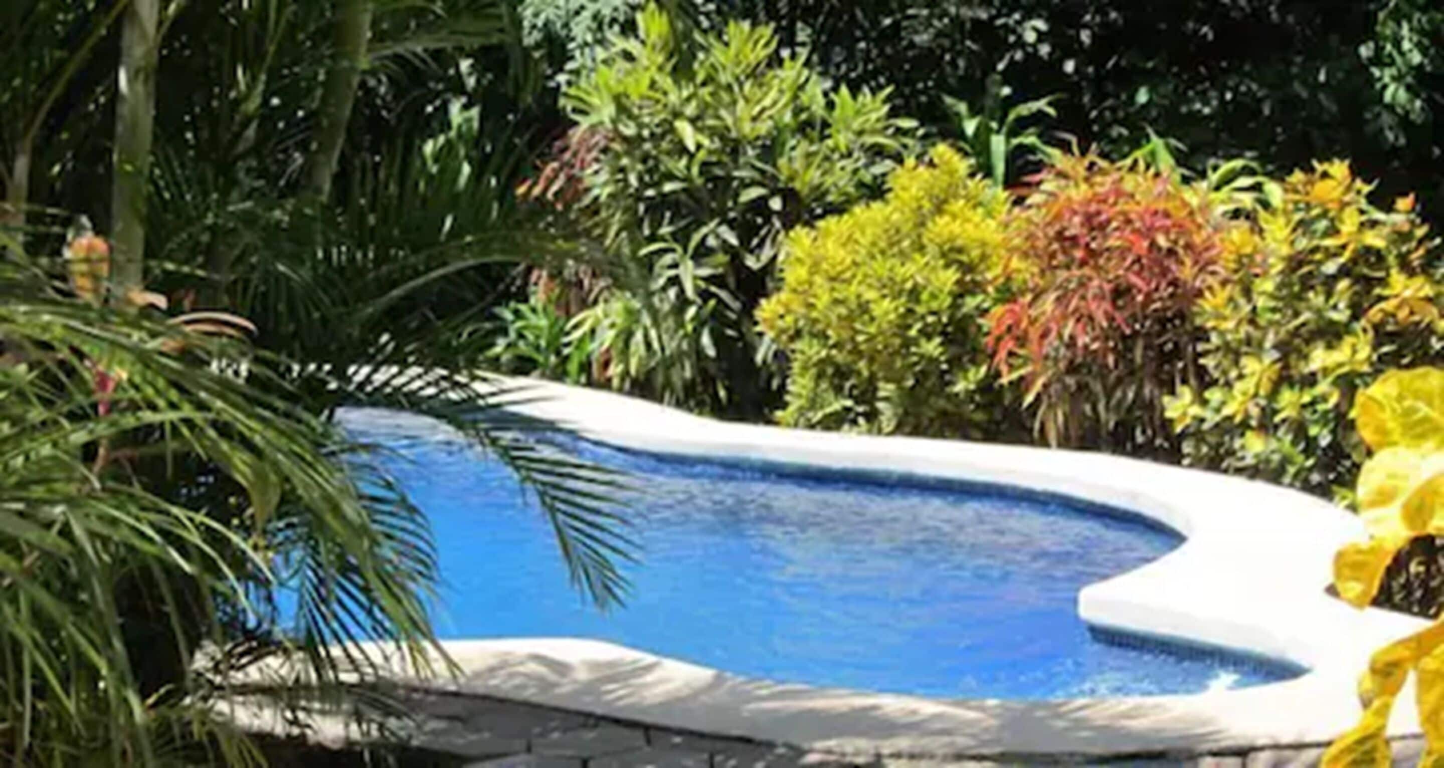 2 outdoor pools, pool loungers