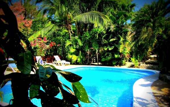 A clear blue pool surrounded by lush tropical vegetation and palm trees. - Hotel Belvedere (Sámara)