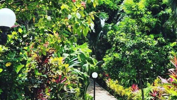 A pathway flanked by lush greenery and a stone wall. - Hotel Belvedere (Sámara)