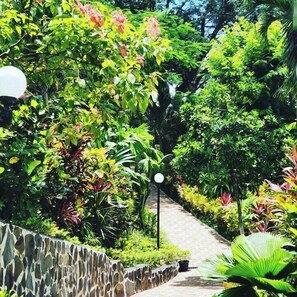 Property grounds - Hotel Belvedere (Sámara)