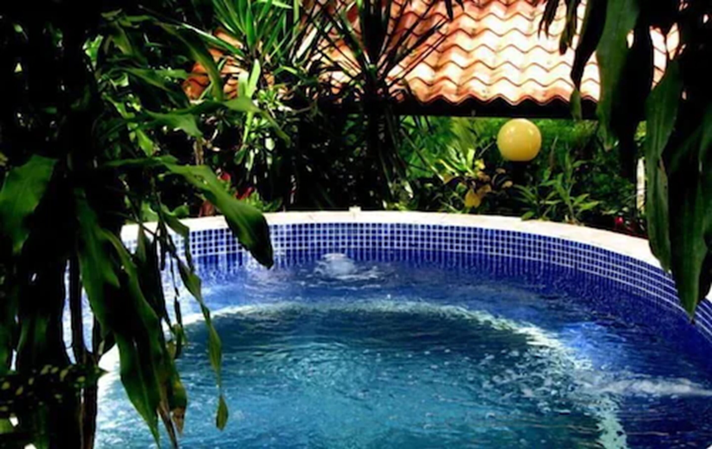 2 outdoor pools, pool loungers