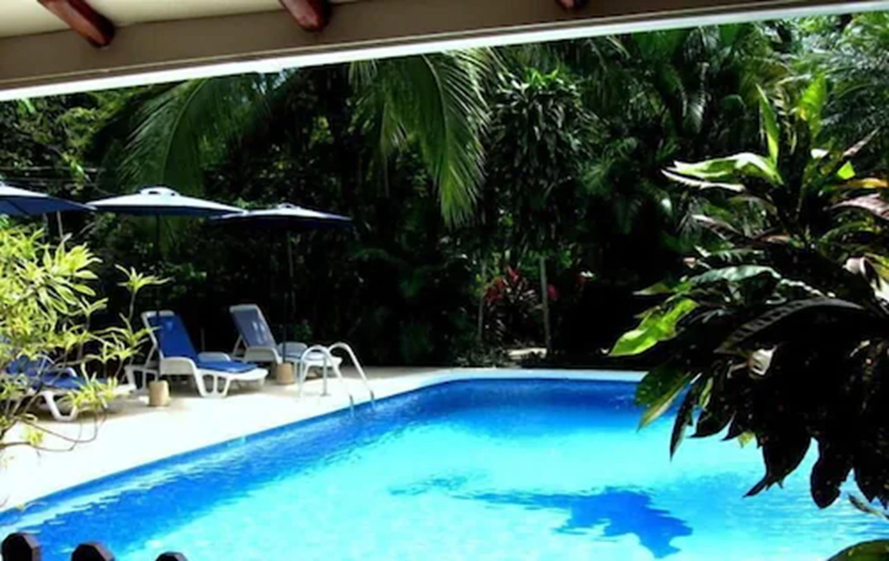 2 outdoor pools, pool loungers