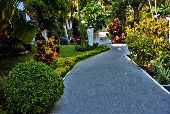 Terrain de lâhĂ©bergement