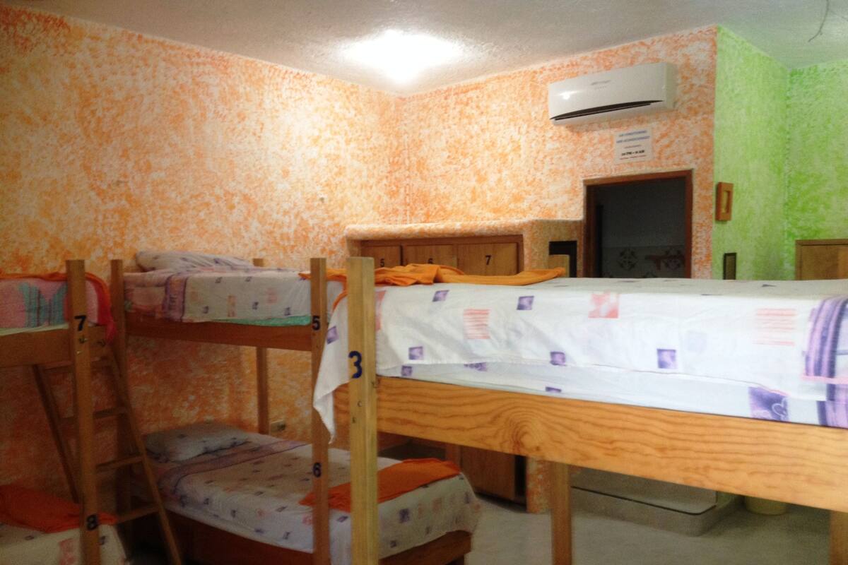Dortoir Partagé Standard, 1 chambre (Orange with 8 bunk beds)