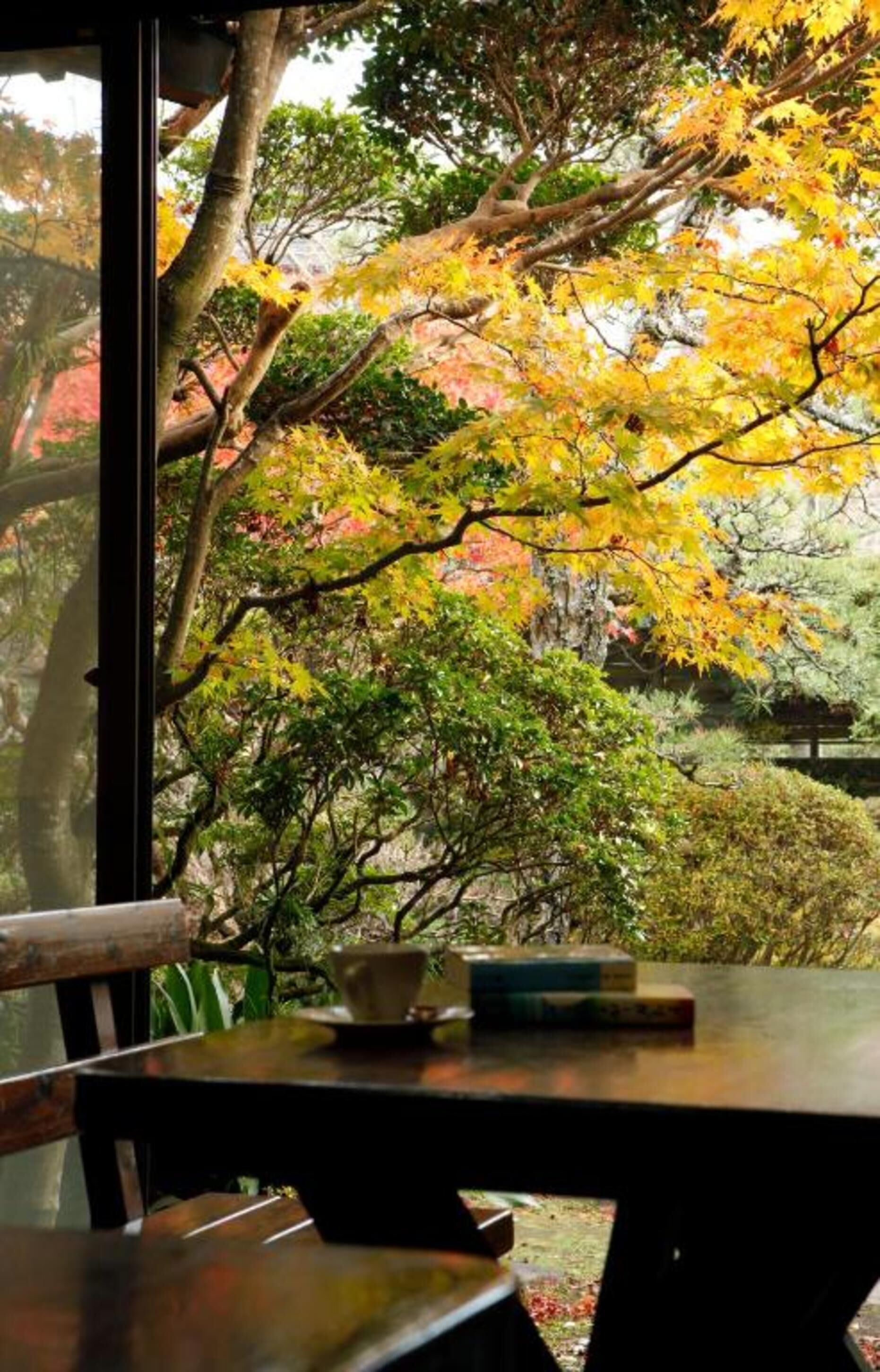 Phòng, phòng tắm dùng chung (Japanese, 3rd Floor ) | Bộ đồ giường cao cấp, két bảo mật tại phòng, bàn 