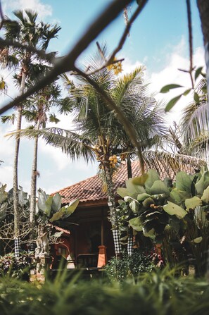 Garden - Ubud Cottages Malang (Malang)