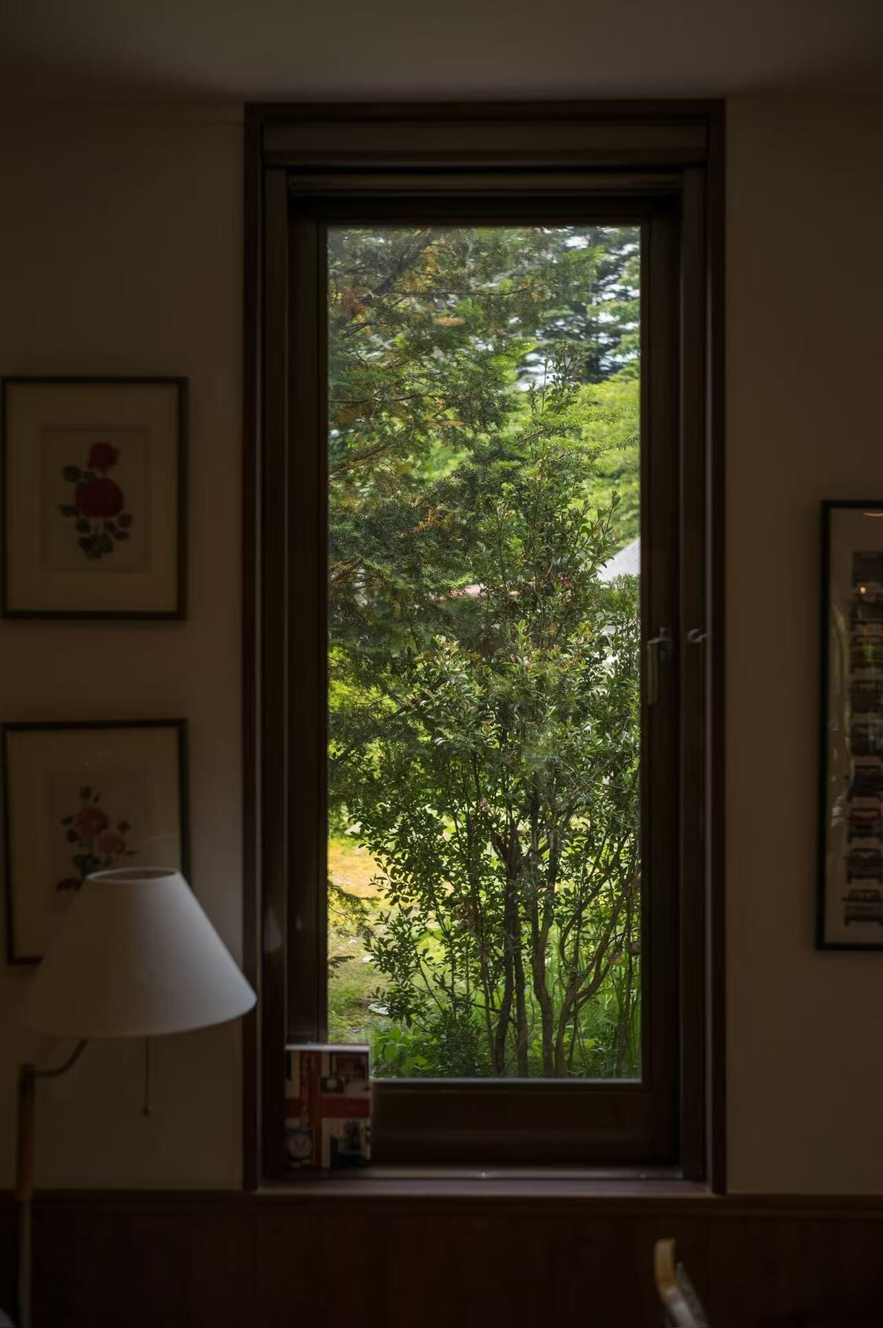 A room with a window overlooking a dense green tree. There are framed pictures on the wall and a lamp on the floor.