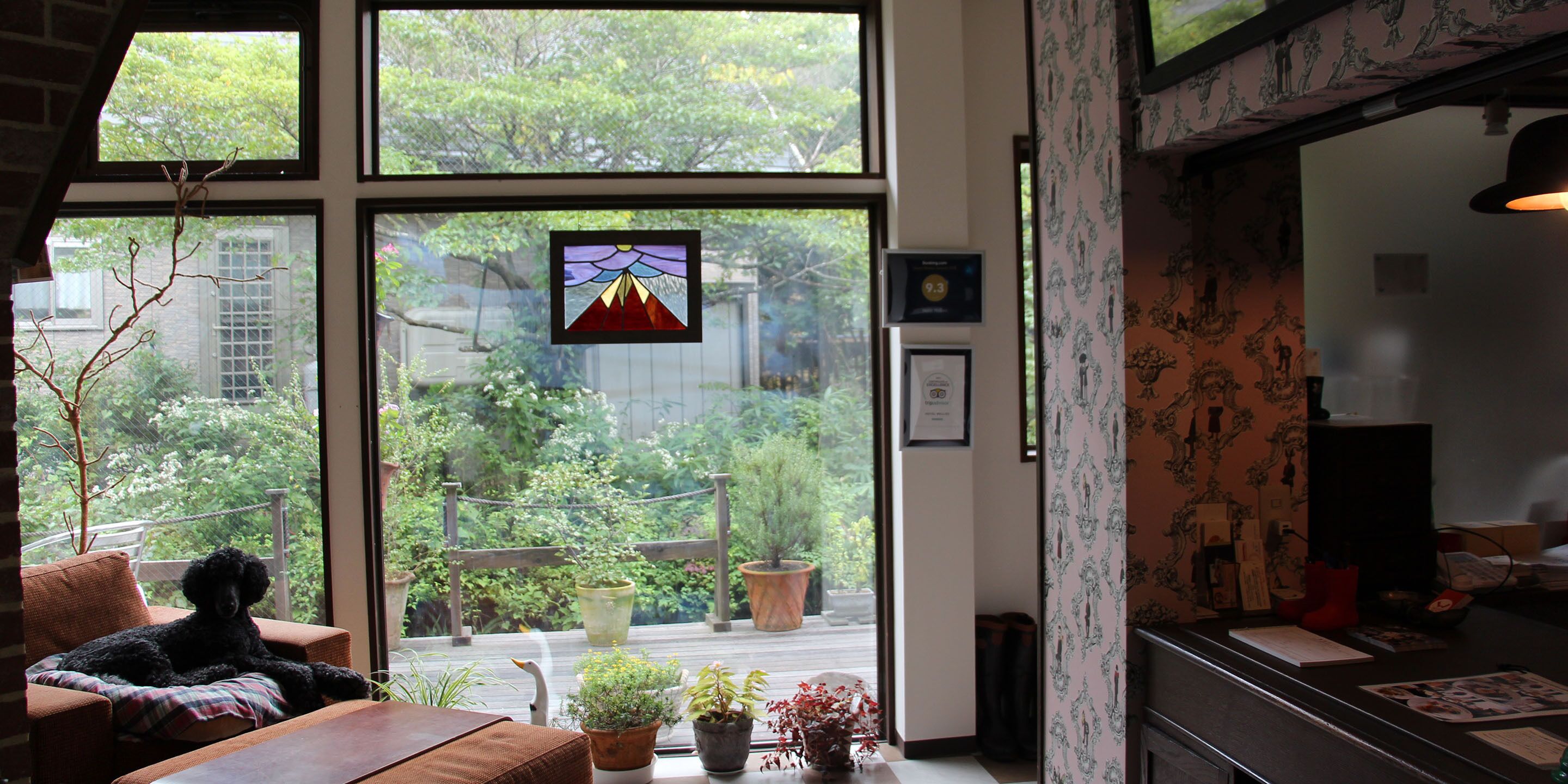 A cozy room with a black poodle on a plaid cushion, large windows with a view of greenery, and a desk with various items.