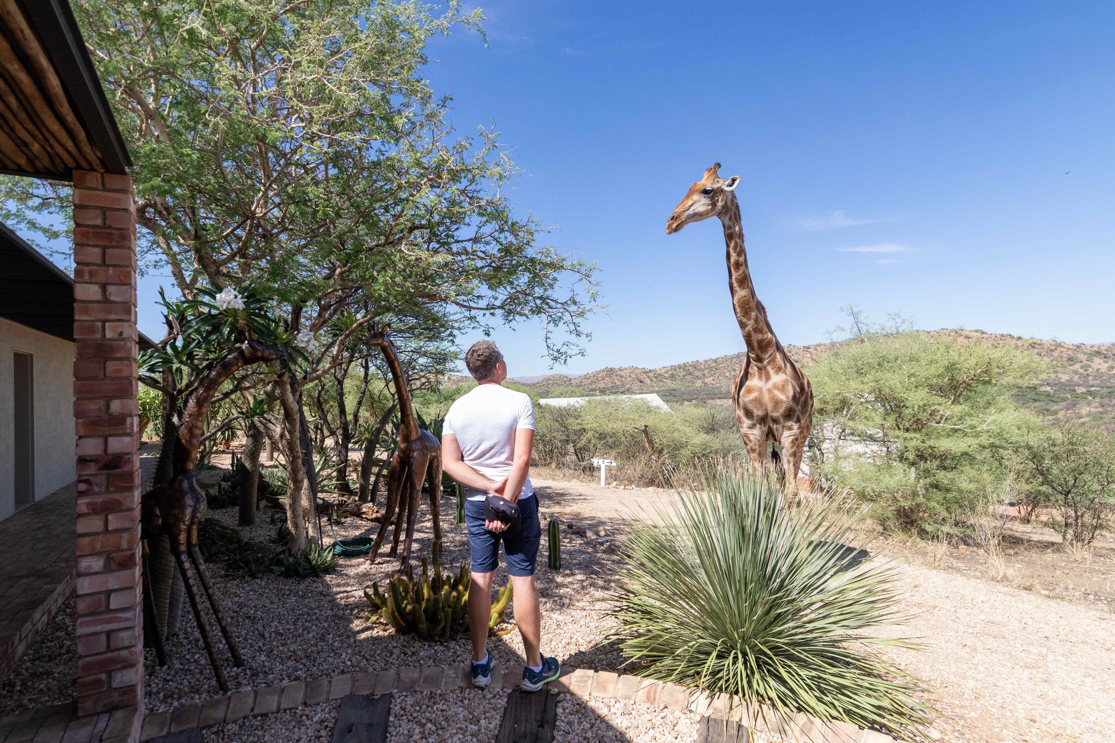 Une personne se tient près d’une girafe dans un espace aménagé, avec des arbres et un bâtiment.