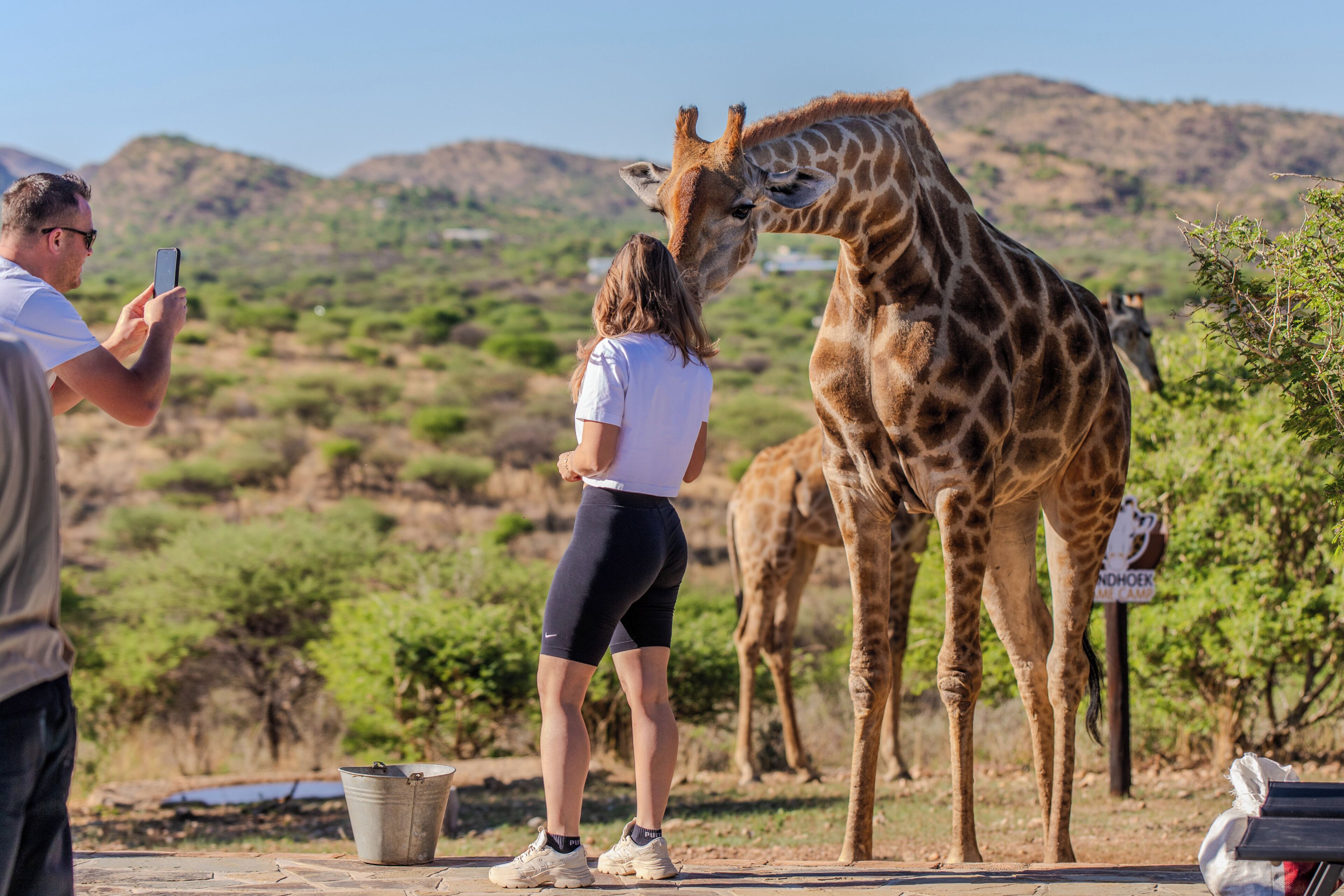 A person taking a photo of a giraffe, with another person nearby.