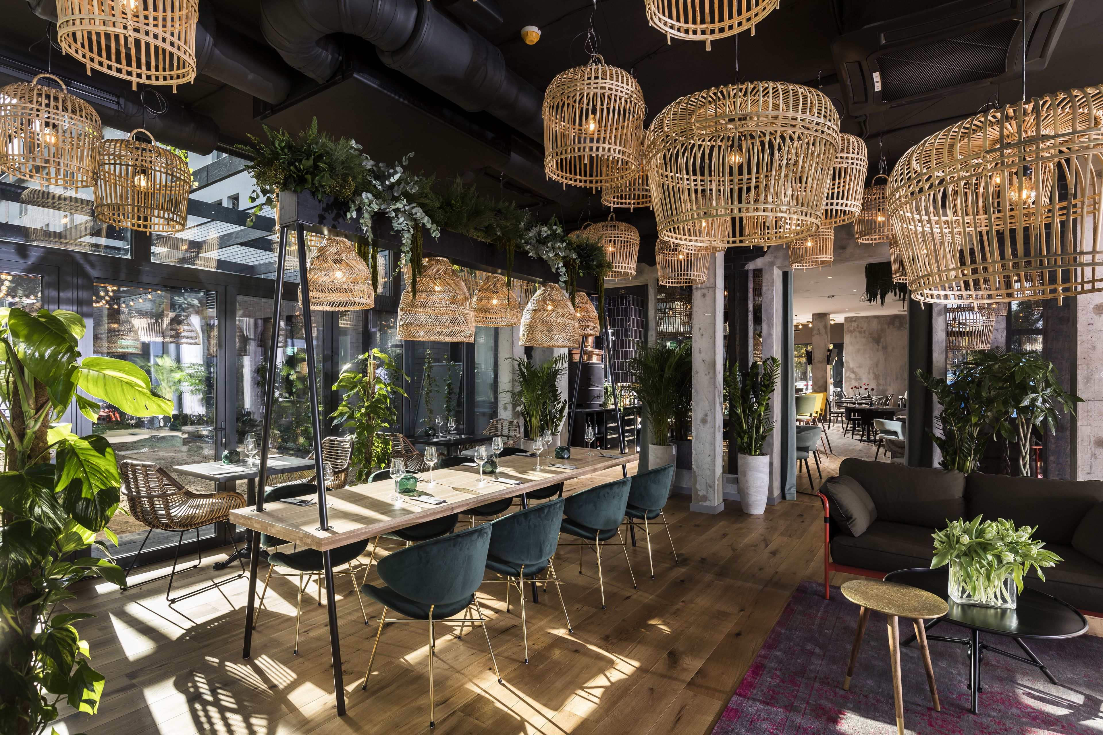 A modern dining area with a long wooden table, dark upholstered chairs, and hanging wicker chandeliers.