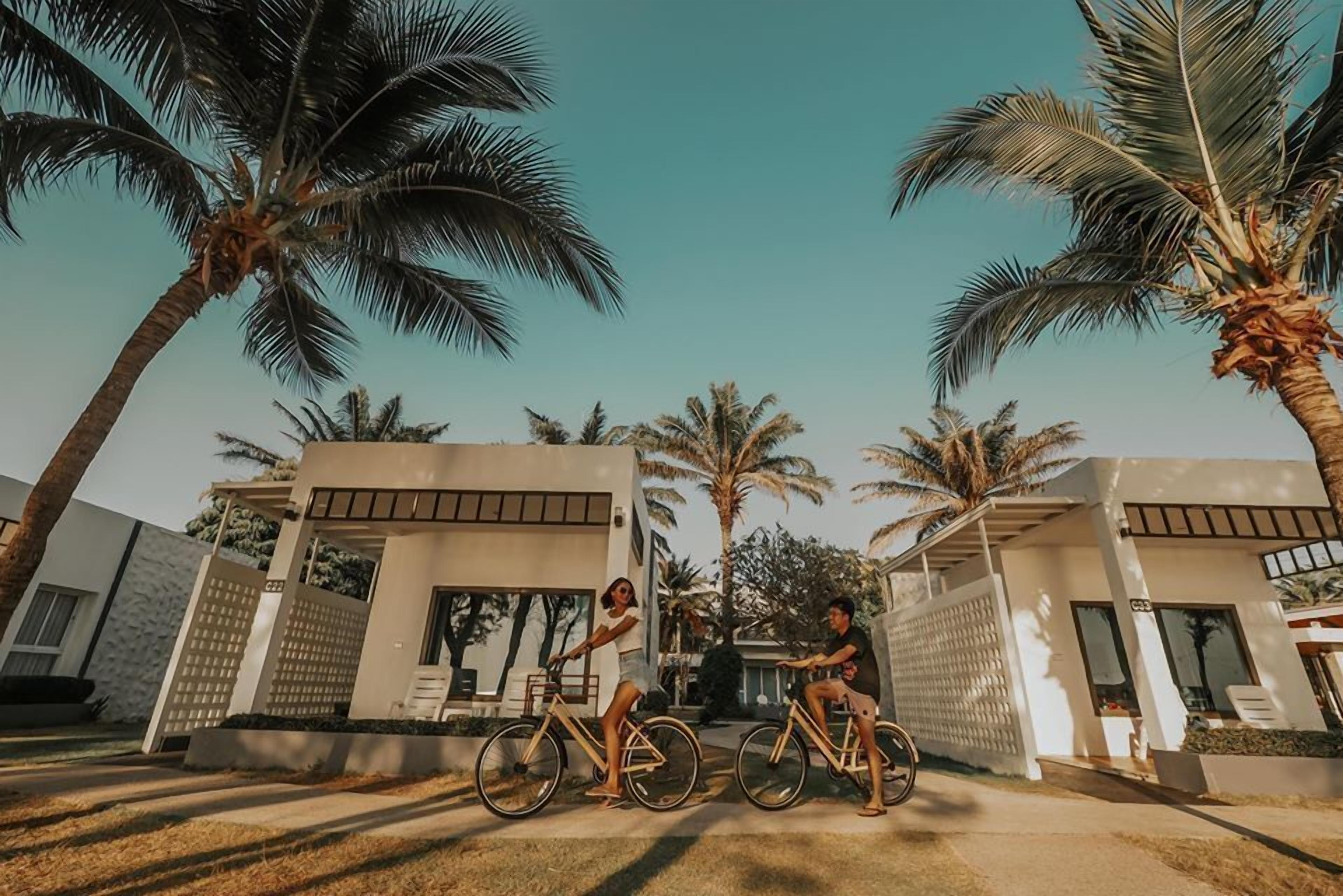 A modern house with a large driveway, palm trees, and a bicycle.