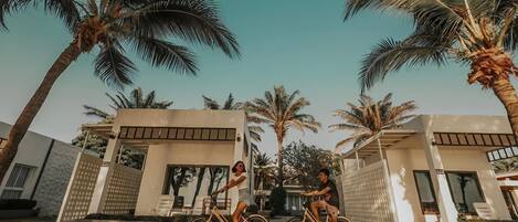 A modern house with a large driveway, palm trees, and a bicycle.