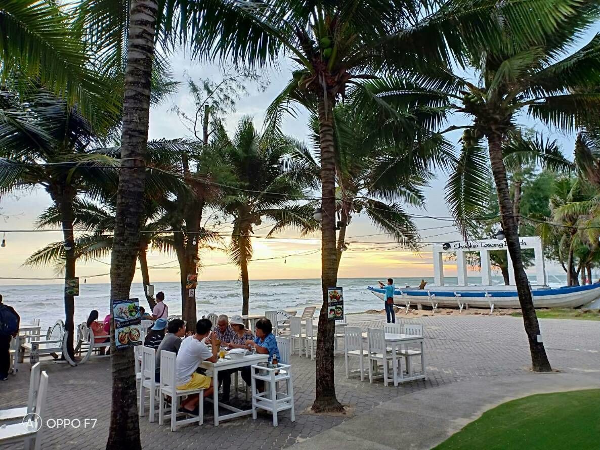 A beachside restaurant with outdoor seating, palm trees, and a view of the ocean.
