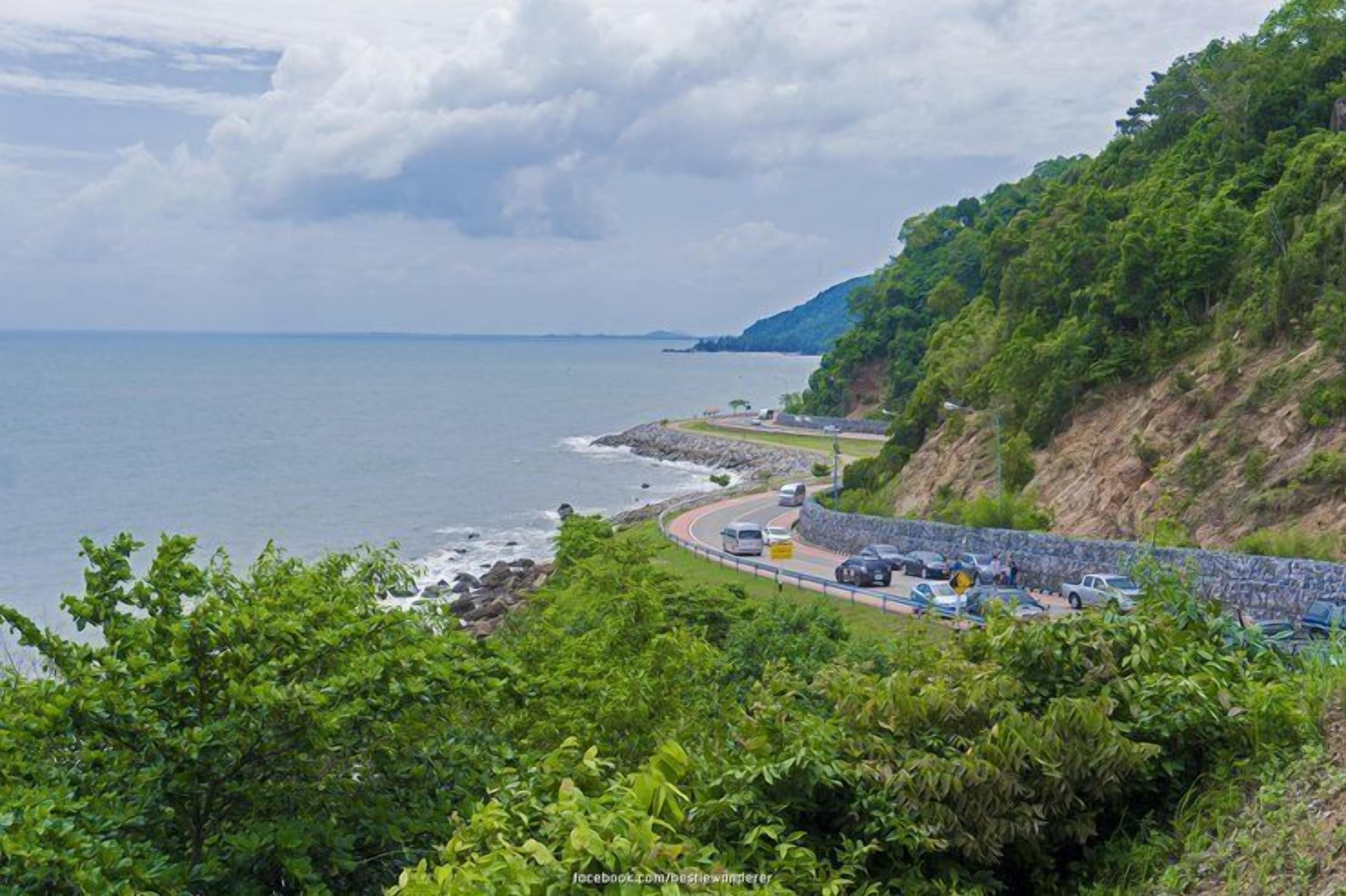 A coastal road with vehicles, a stone wall, and lush greenery.