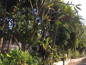 Property grounds - Nan inn Bungalow (Karon)