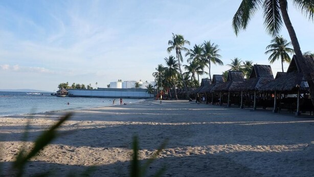 Una playa con cabañas de techo de paja, palmeras y un edificio distante junto al agua.