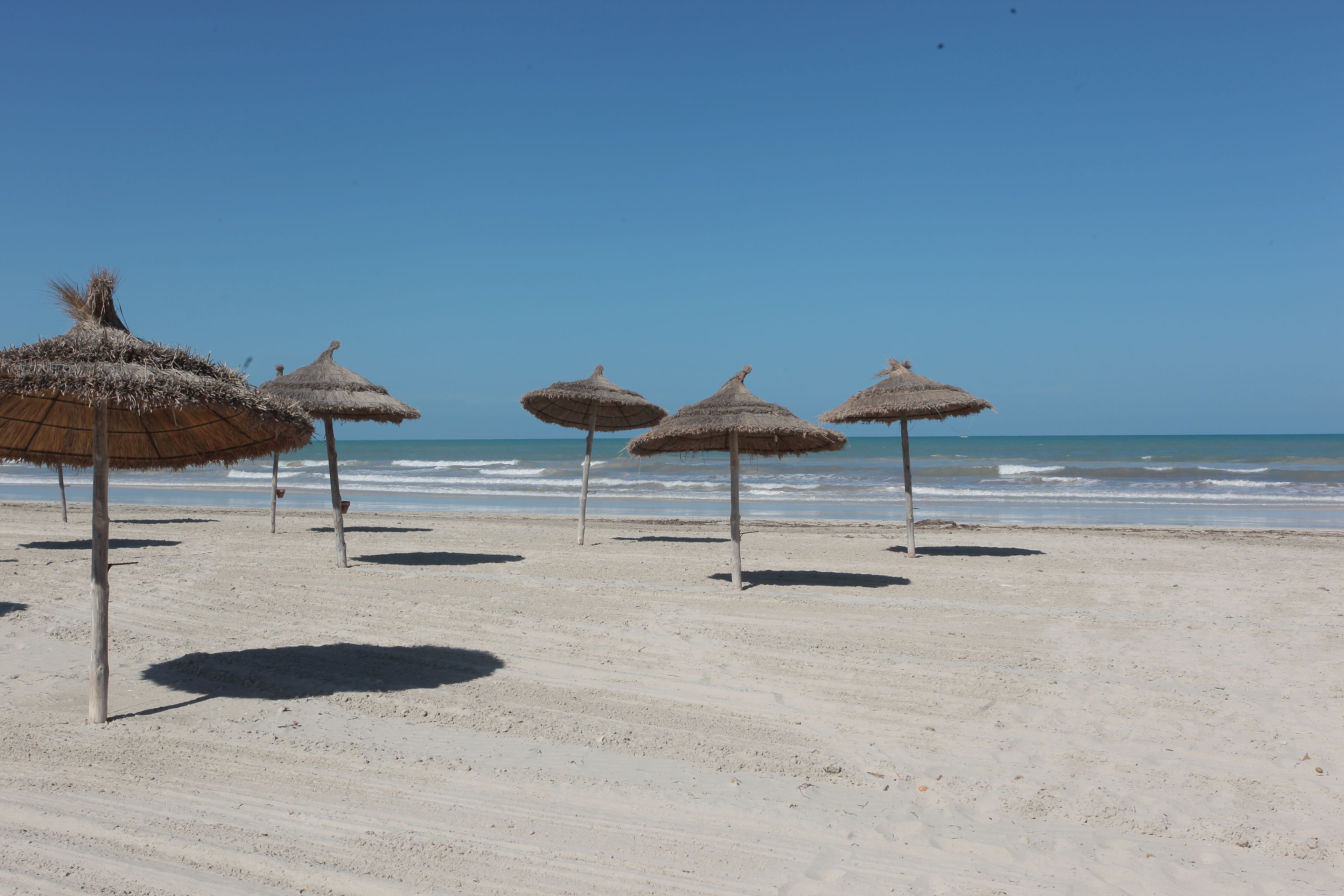 Foto - Hotel Venice Beach- Families and Couples Only