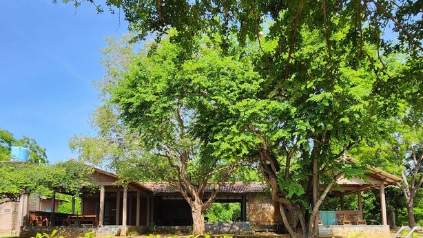 A pool area with a clear blue pool, surrounded by lush green trees and a covered seating area. - Hide Yala (Thissamaharama)