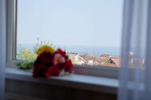 Vistas desde la habitación