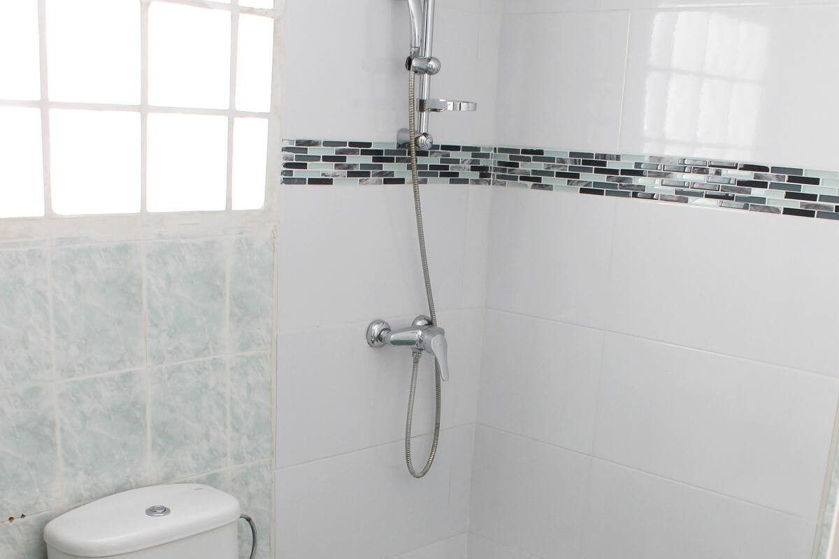 shower, free toiletries, hair dryer, towels