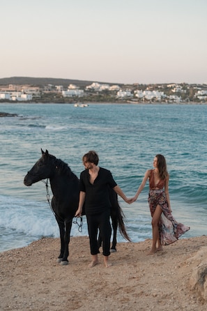 Passeios a cavalo