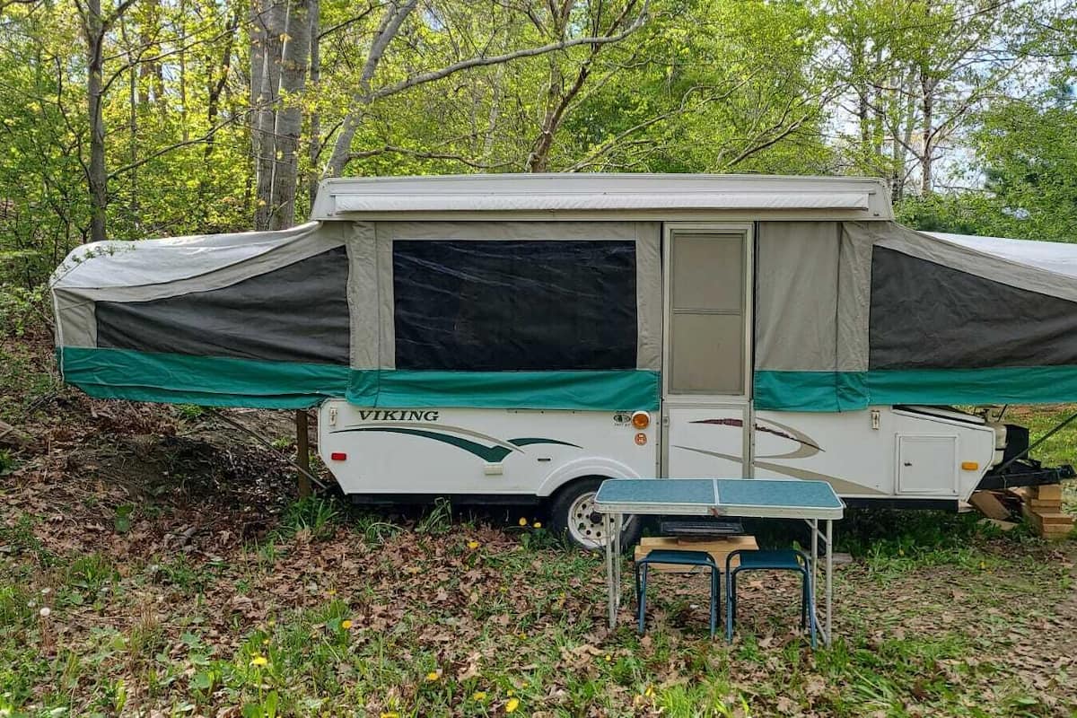 Ein weißer Wohnmobil mit grünem Vordach, auf dessen Seite "VIKING" steht, steht in einem bewaldeten Gebiet. Vor dem Wohnmobil befinden sich ein Tisch und Stühle.