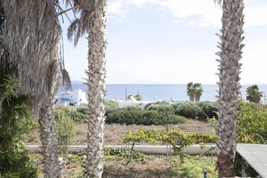 A view of a coastal area with palm trees, a garden, and a distant view of the sea and buildings.
