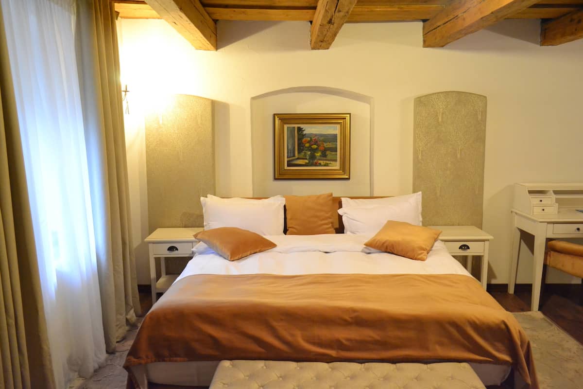 Minibar, iron/ironing board, free WiFi, bed sheets